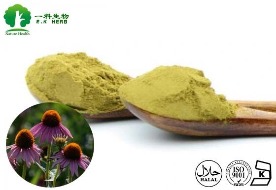 E. K Herb 100% Natural Pure Echinacea Purpurea Extract Cichoric Acid, Polyphenols HPLC UV Echinacea Extract