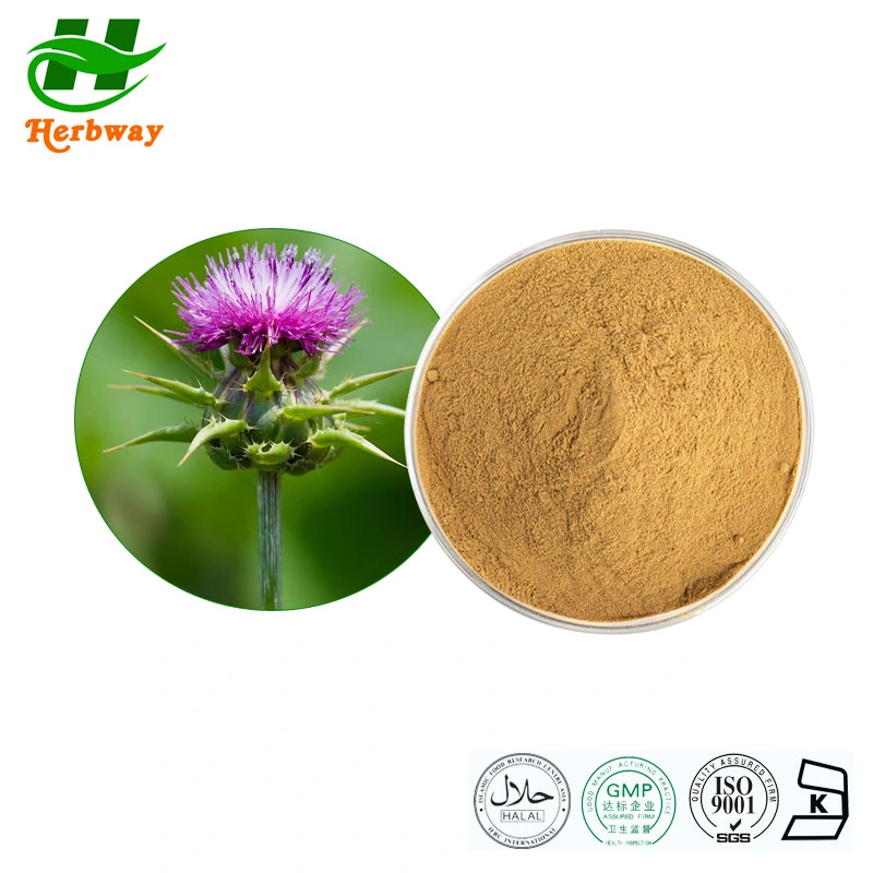 Herbway Kosher Halal Fssc HACCP Certified Factory Wholesale Price Silybum Marianum (L.) 40%-80% Silymarin Milk Thistle Extract