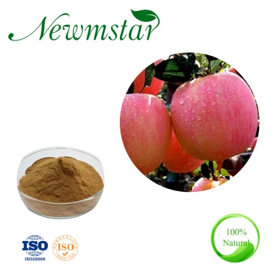 Poudre d'extrait de pomme Aliments et boissons Extrait de fruit Polyphénol 10 % Malus Domestica