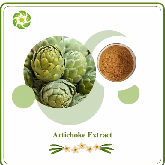 Fournir de l'extrait d'artichaut Cynarin 98% 30964-13-7