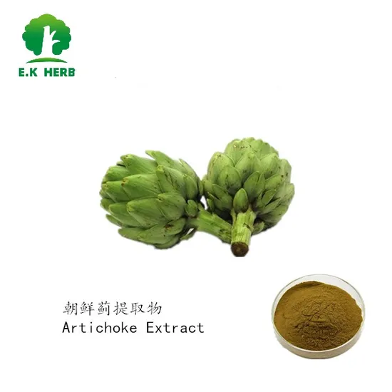 Extrait d'artichaut 100% naturel certifié casher et halal Extrait d'artichaut