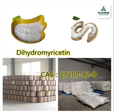 Fournir de l'extrait de thé de vigne dihydromyricétine 98% CAS 27200-12-0